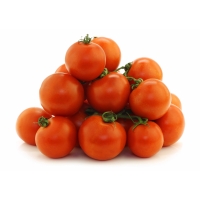 Tomaten-Sparpaket